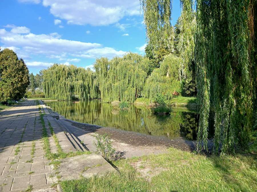 The willow-fringed pond in Park Fosa i Stoki Cytadeli, Żoliborz